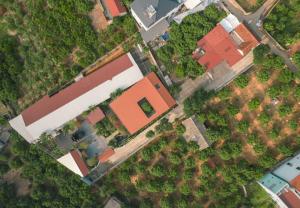 Nhà ngói đỏ 200 m2 khoét mái làm vườn cây